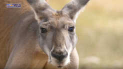 Education in the Philippines